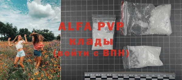 мдпв Горно-Алтайск