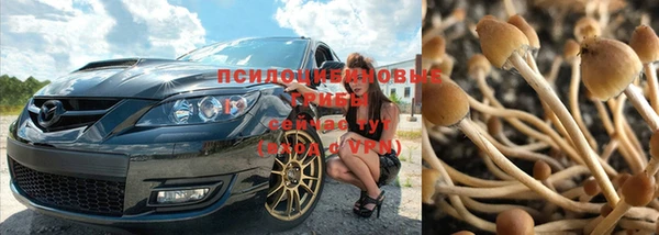 мескалин Гусиноозёрск